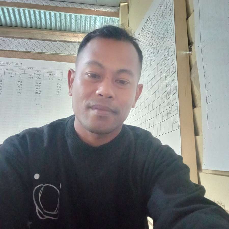 83886664 2857 medium large