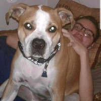 Brandon Viegas's photo