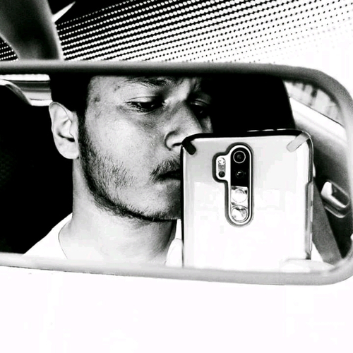 50768461 3383