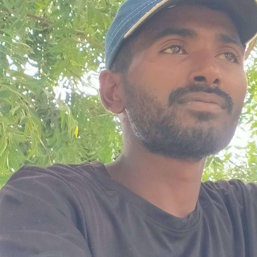 82415371 3651 medium large