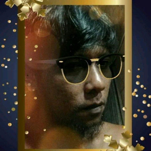 55687134 4259