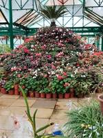 Subish subish 's photo