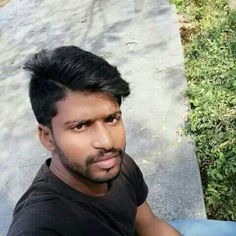 42981086 7941