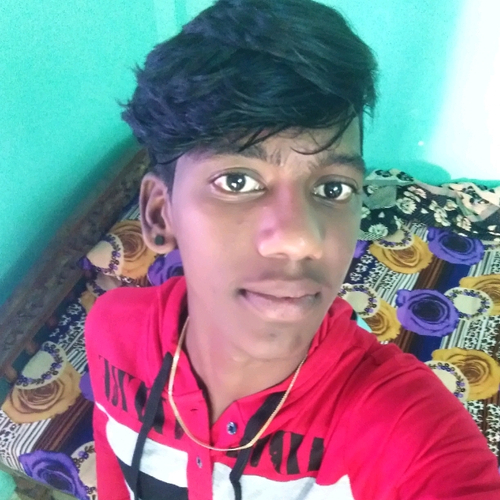 53078552 9562
