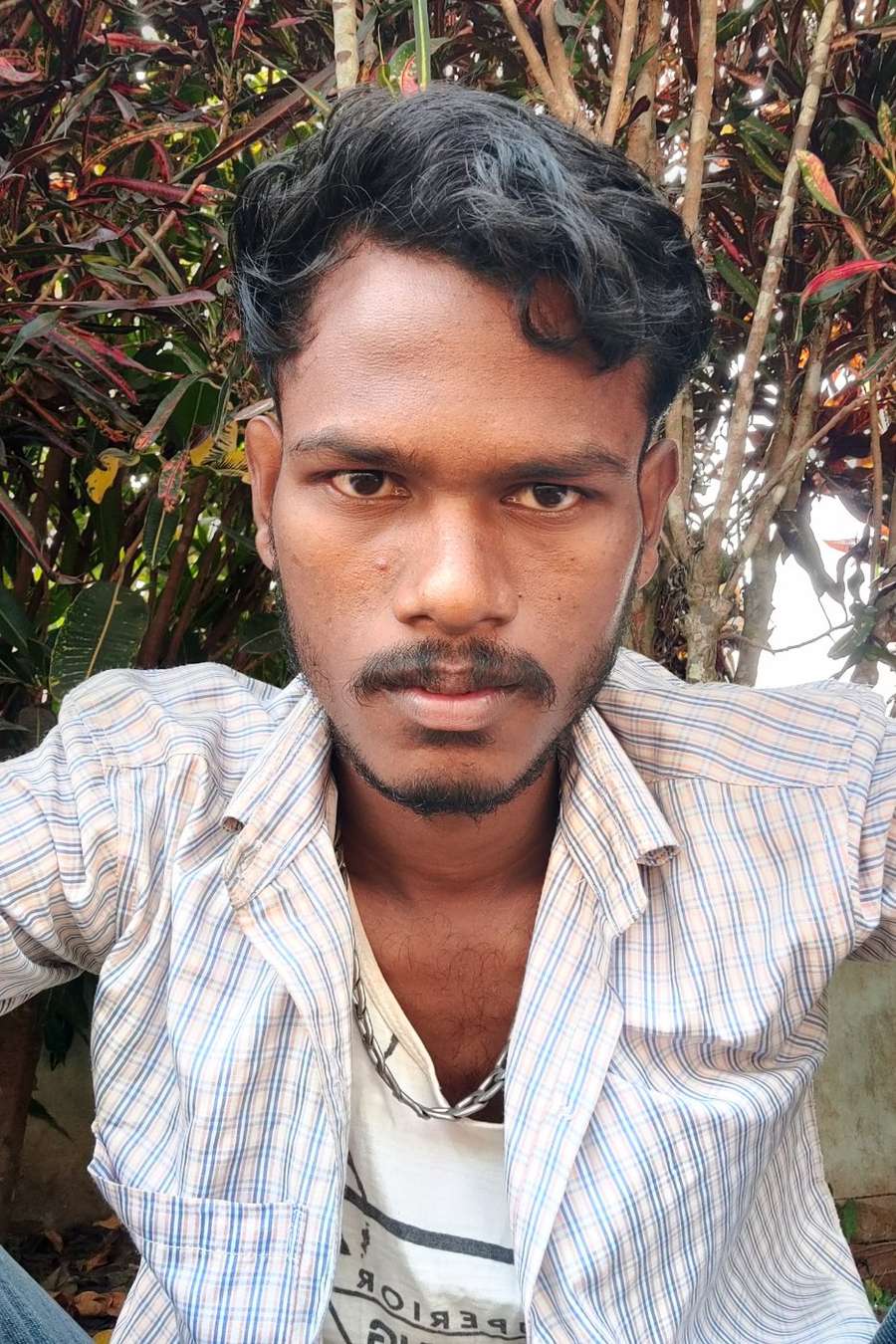 88637427 6871 medium large