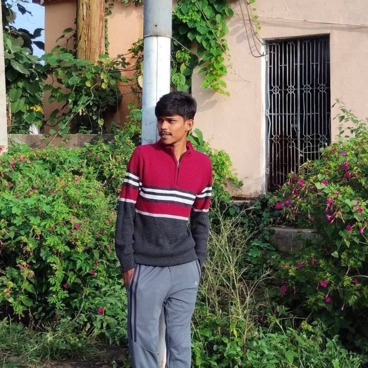 88416175 6036 medium large
