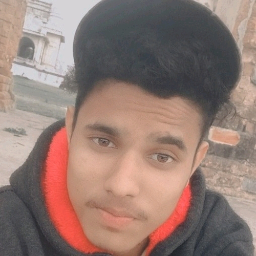 63995084 8810