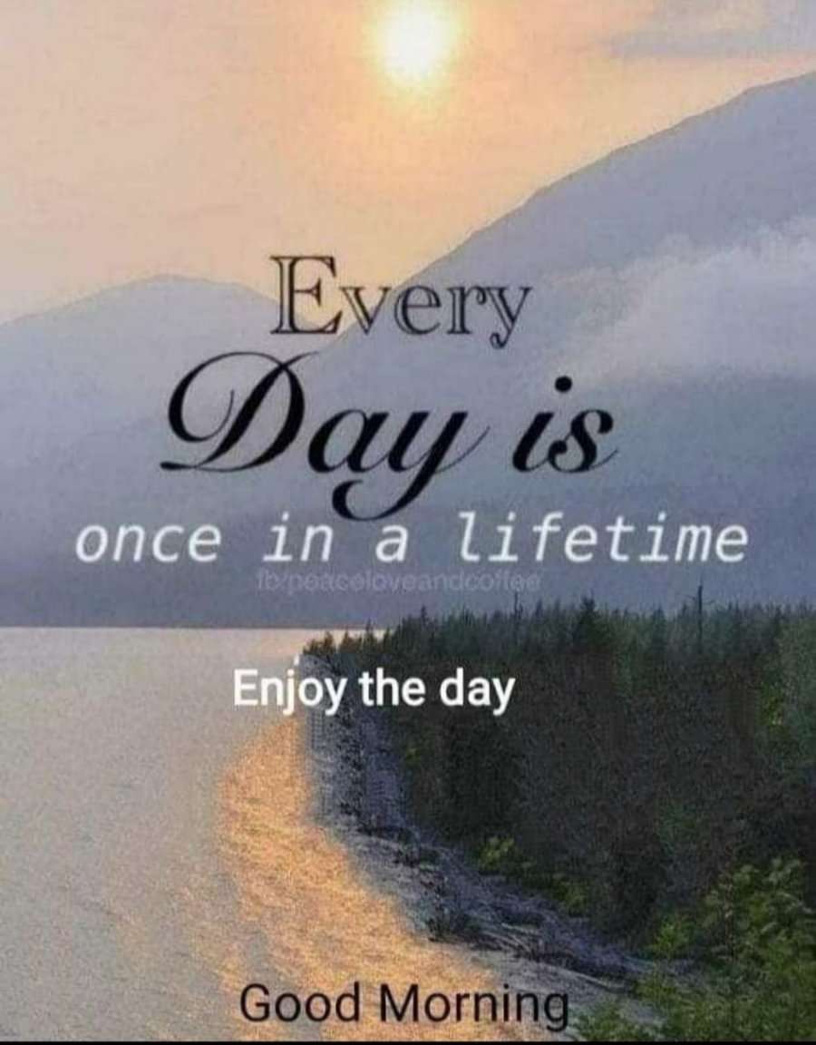 20007730 1302 medium large