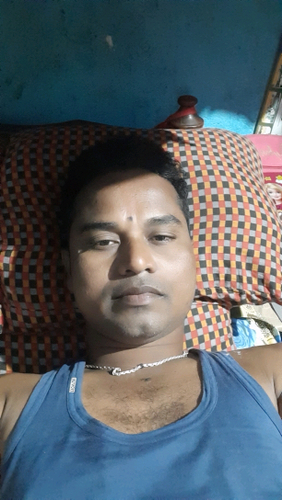 50856008 4297