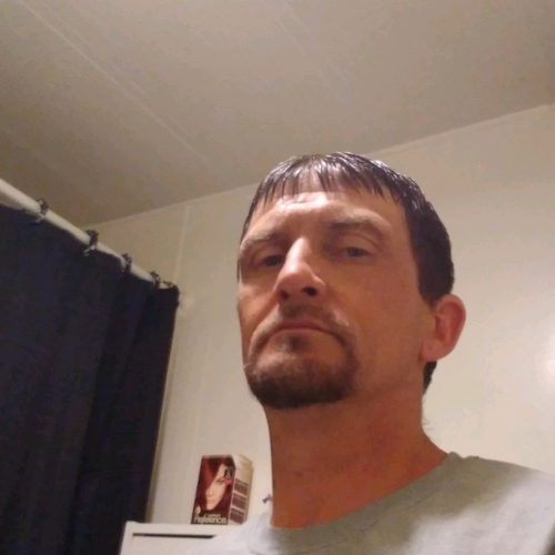 53446563 3648