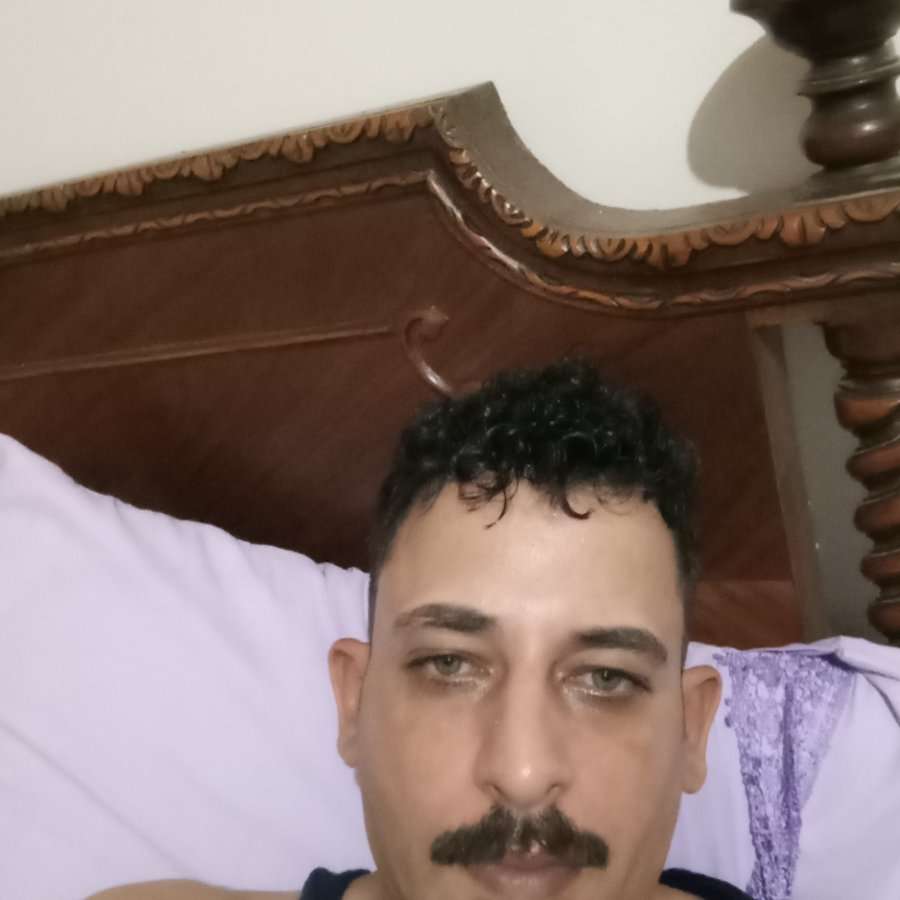 81097590 558 medium large