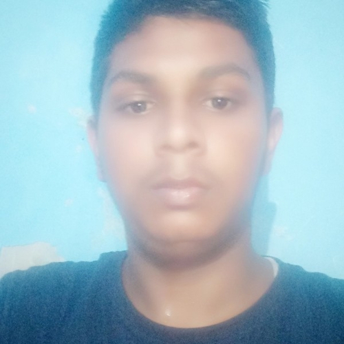 48131053 7433