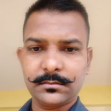 59361371 8215
