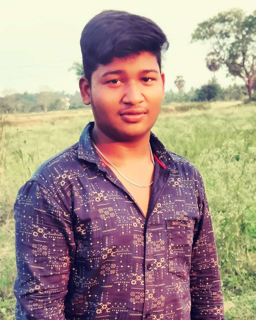 81737258 1262 medium large