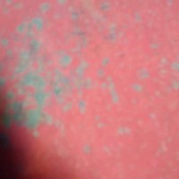 Amarendra Das's photo