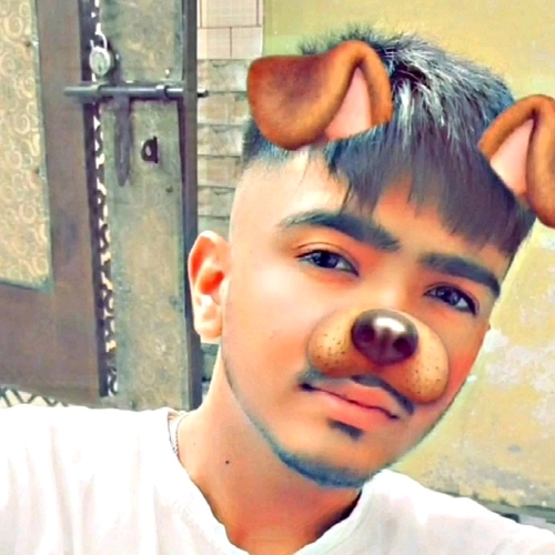 72860291 4311