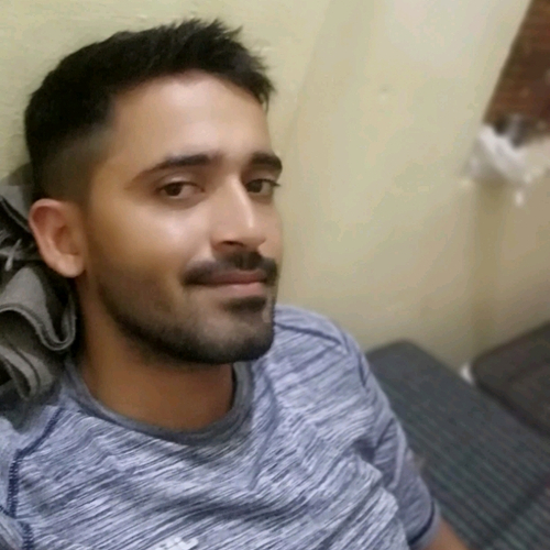 53305885 3187