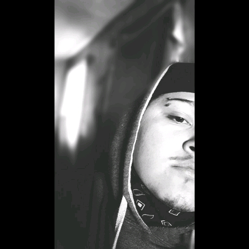 56330729 84