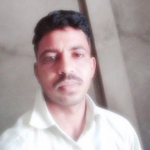77943916 5585 medium large