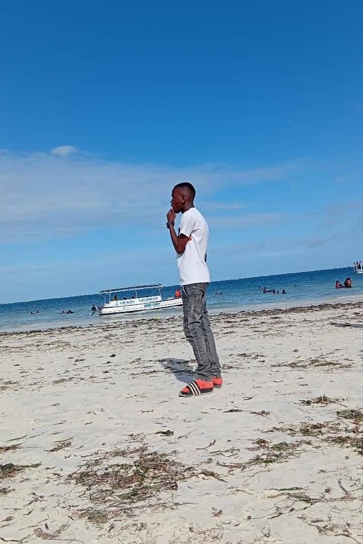95635179 1616 medium large