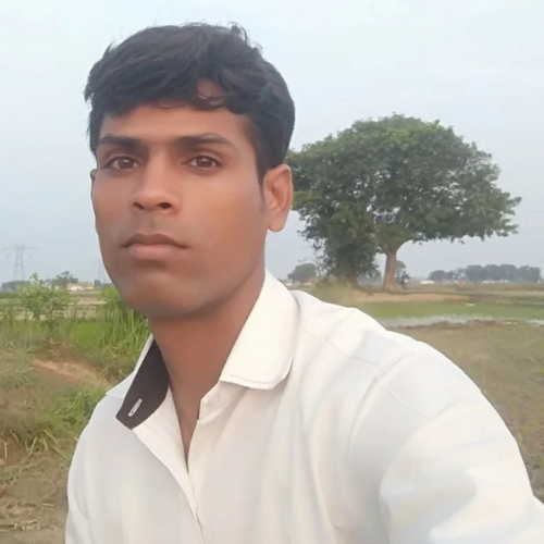 49558822 7113