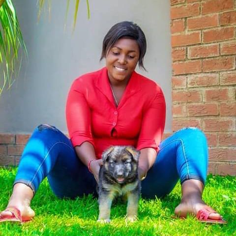 81204574 3744 medium large