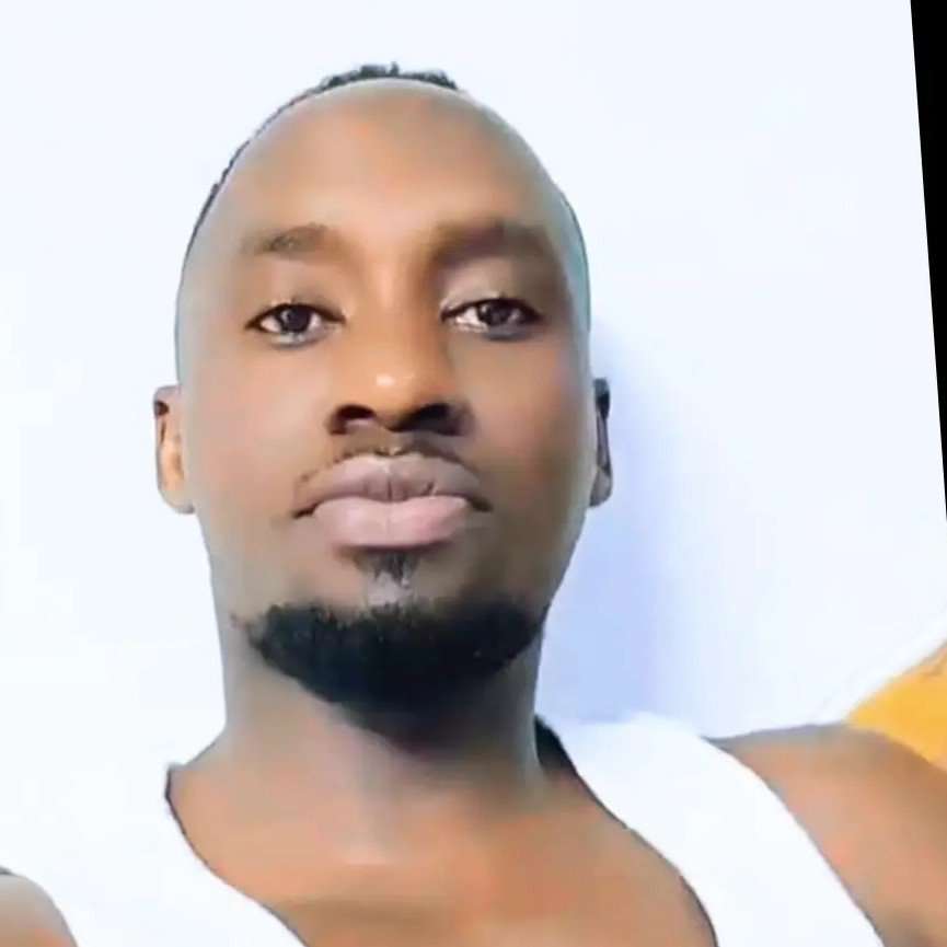 86351798 7005 medium large