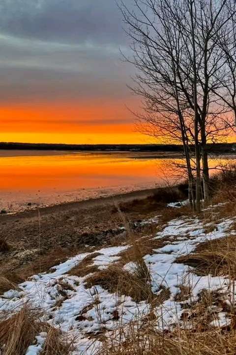 92514451 8225 medium large