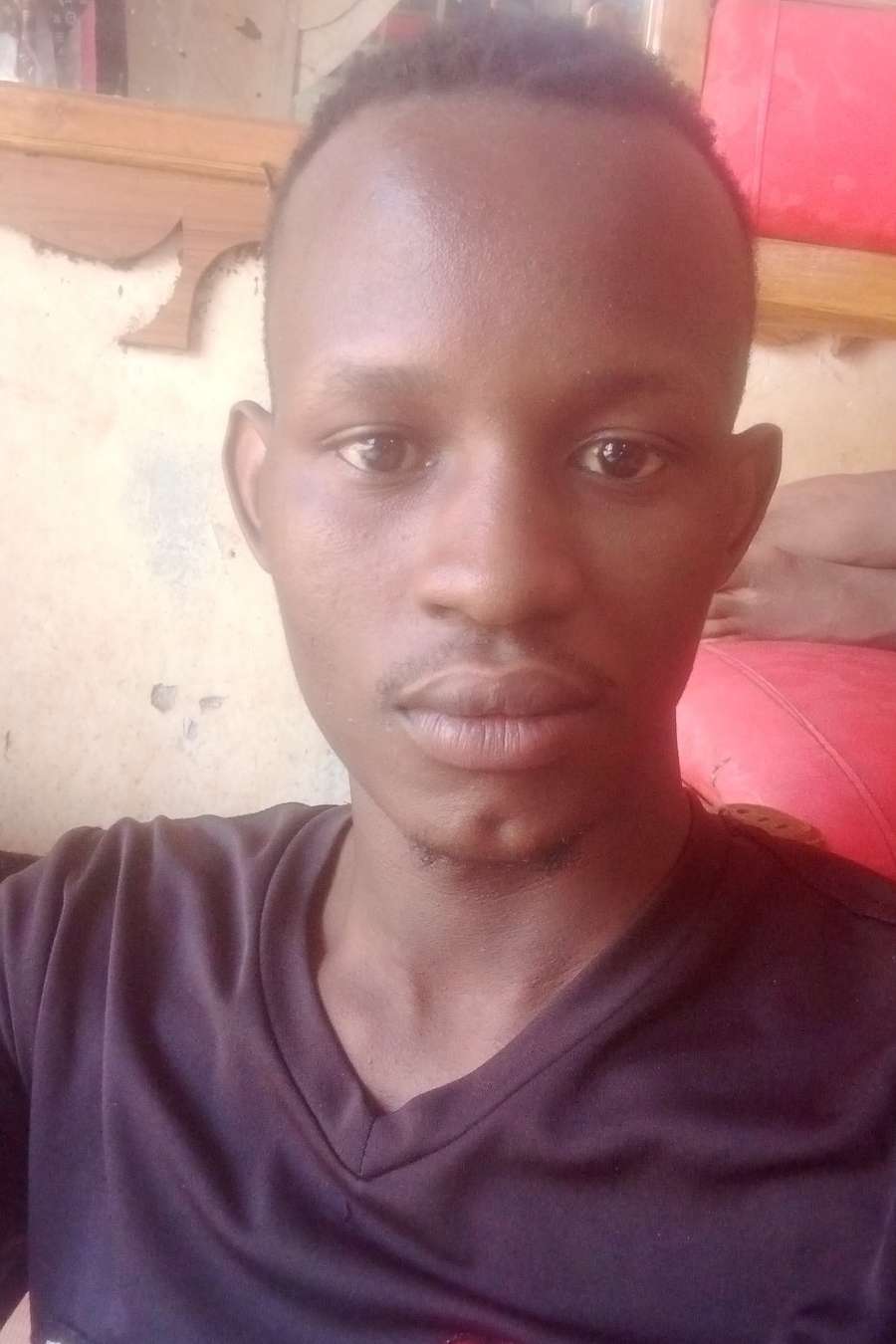 84332703 7339 medium large
