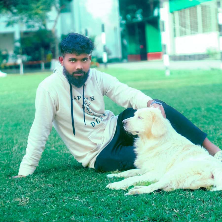 86384851 148 medium large