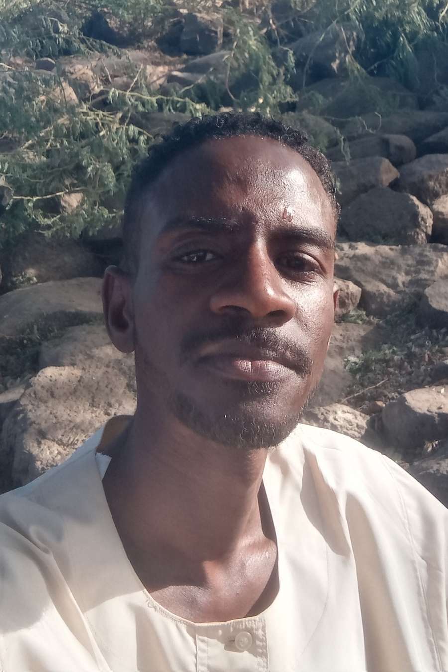 88961392 3988 medium large