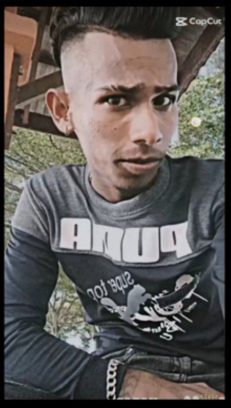 81958086 7641 medium large