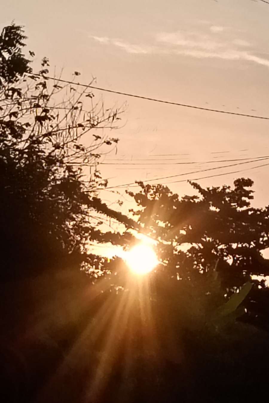 92653031 8679 medium large