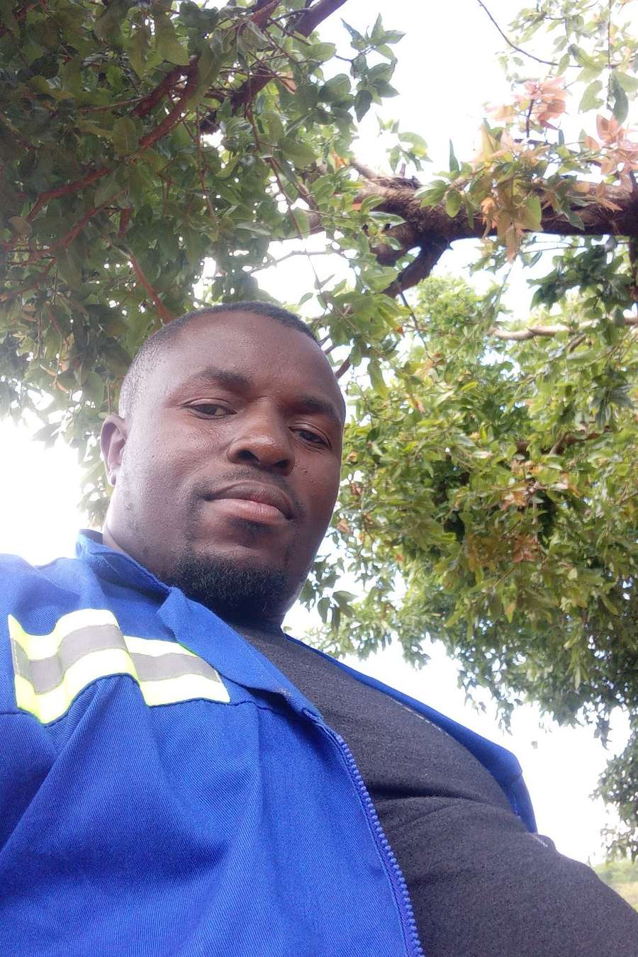 60680467 4356 medium large