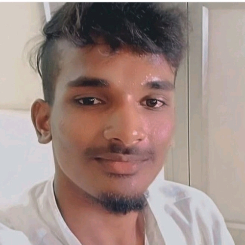 65256211 1281