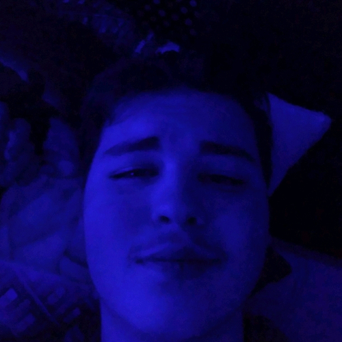 52712028 2830
