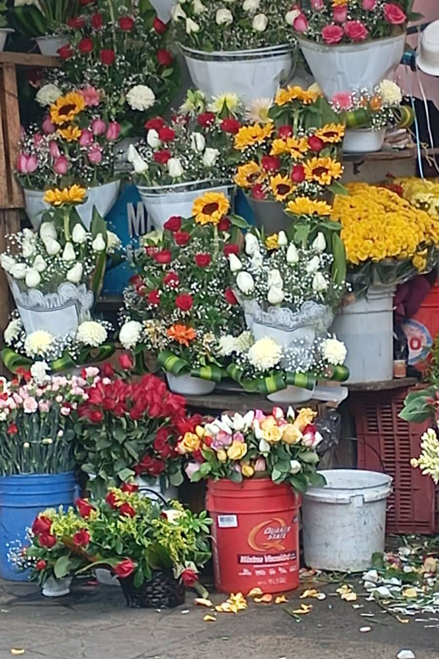 93026110 9523 medium large