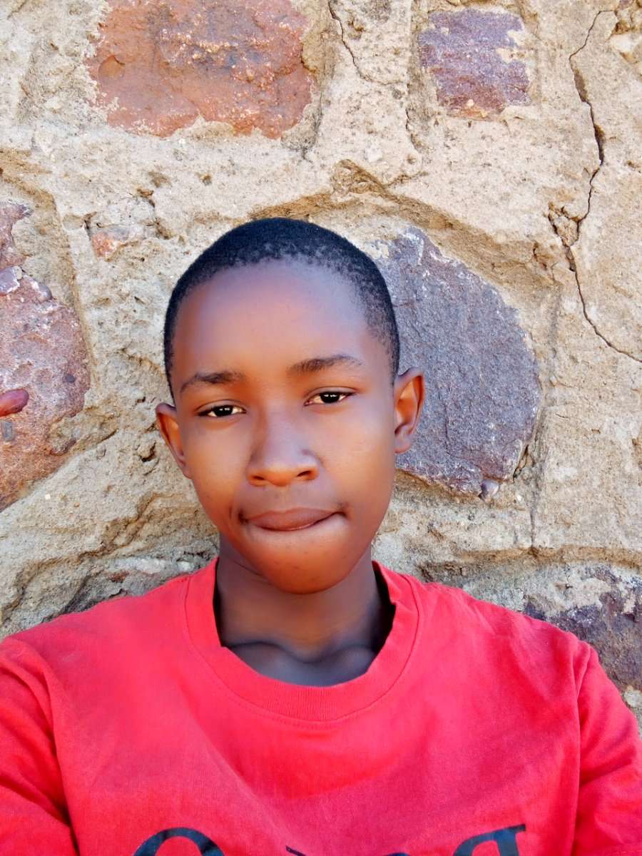 83335163 6239 medium large