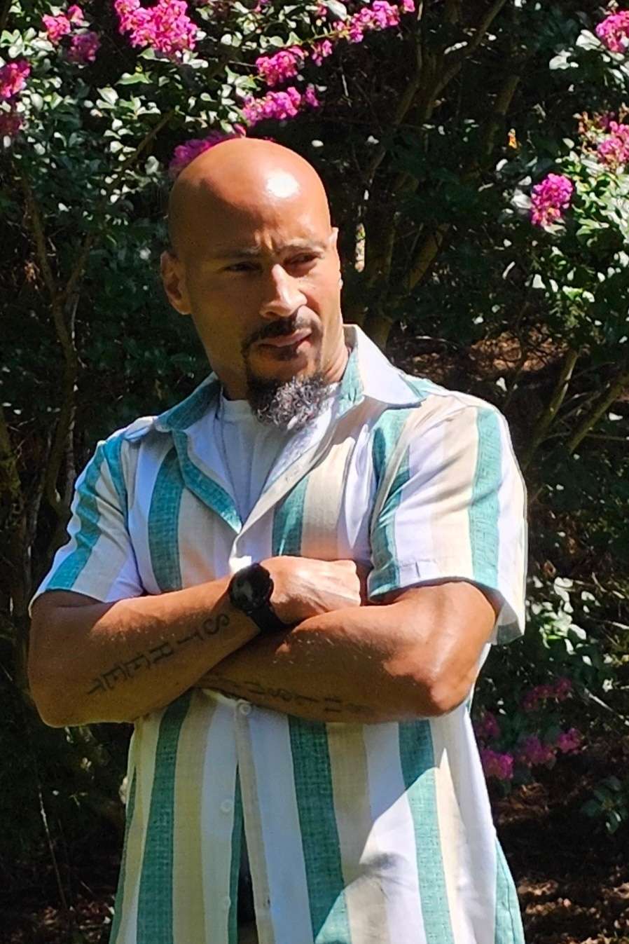 89547397 9966 medium large