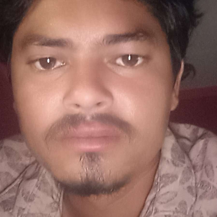79883366 1570 medium large