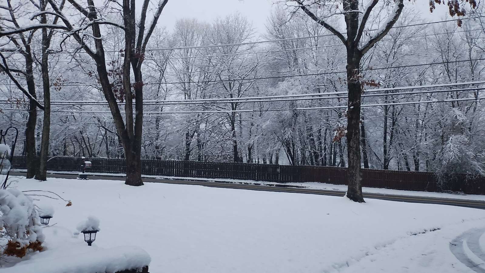 80676932 775 medium large