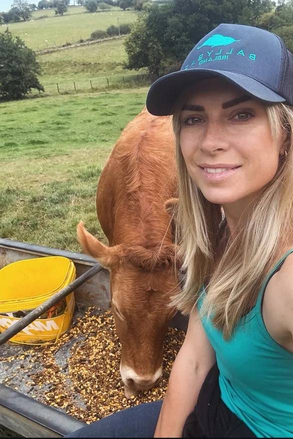 93074527 4498 medium large