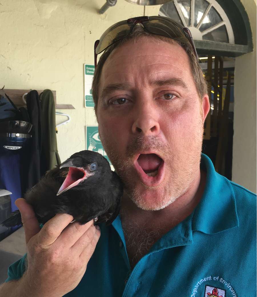 80300044 4811 medium large