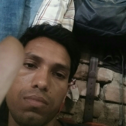 43929519 1166
