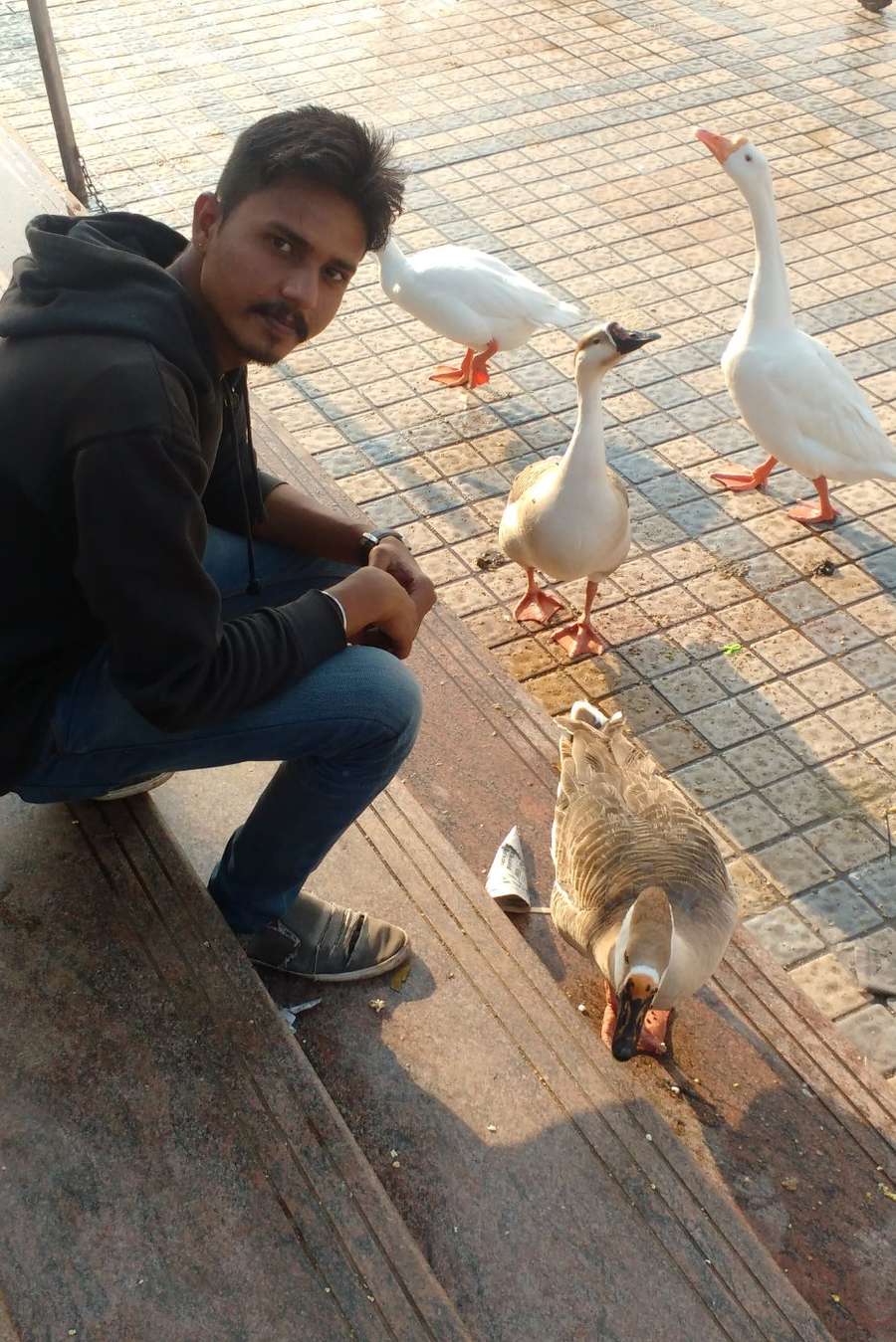 89419098 7896 medium large