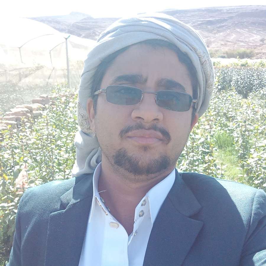 86791081 9381 medium large