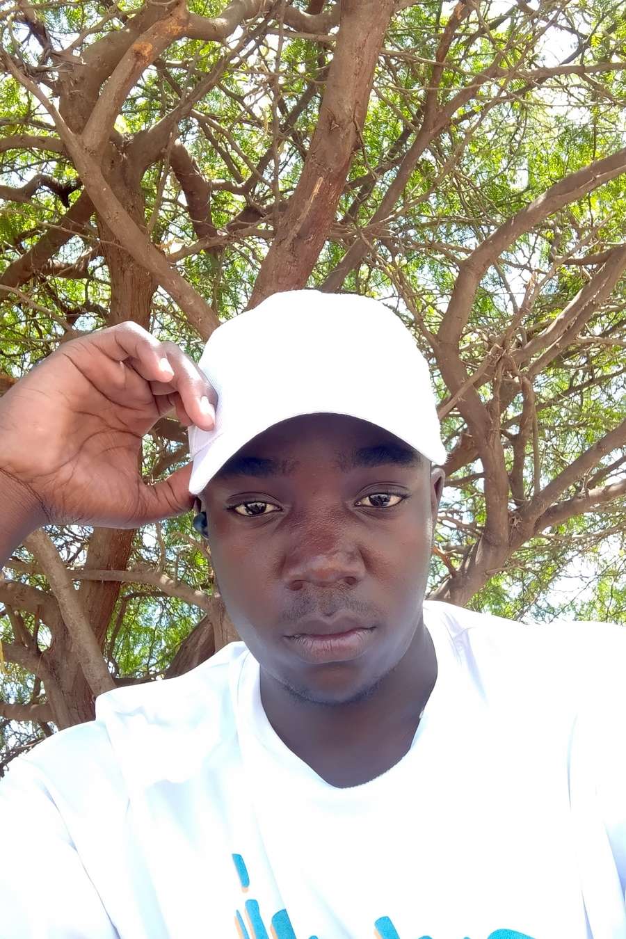 90833828 7169 medium large