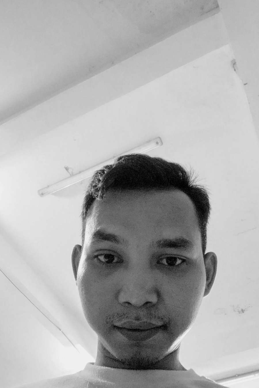 92417341 2663 medium large