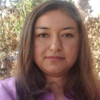 blue dolphin's photo