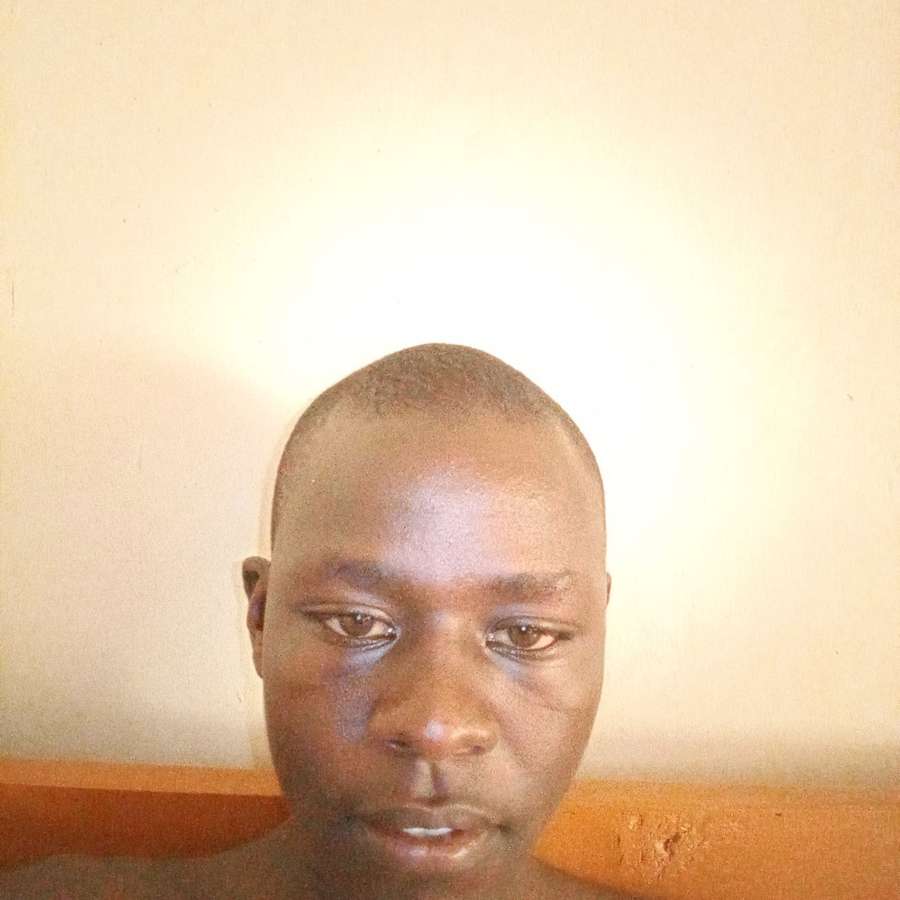 84738493 1587 medium large